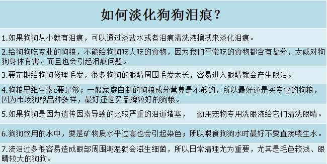 导盲犬是通过红绿灯颜色判断过马路吗（辟谣！都说狗狗的世界只有黑白，那导盲犬怎么过红绿灯？）-第7张图片-拓城游