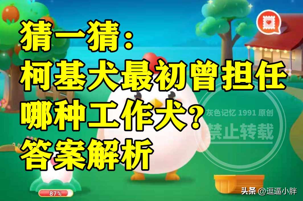 蚂蚁庄园11月23日：柯基犬最初曾担任哪种工作犬（柯基犬最初曾担任哪种工作犬是警犬还是牧牛犬？蚂蚁庄园答案）-第4张图片-拓城游