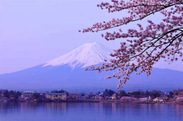 日语翻译：竜が我が敌を喰らう（《守望先锋》归来，能否重续那年夏天神话？）