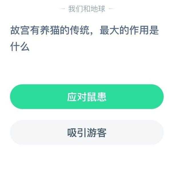 故宫有养猫的传统最大的作用是什么（故宫有养猫的传统，最大的作用是什么？蚂蚁庄园12月25日答题答案最新）-第3张图片-拓城游