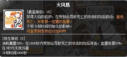 冒险岛炎术士怎么转（冒险岛职业攻略-炎术士篇）-第40张图片-拓城游