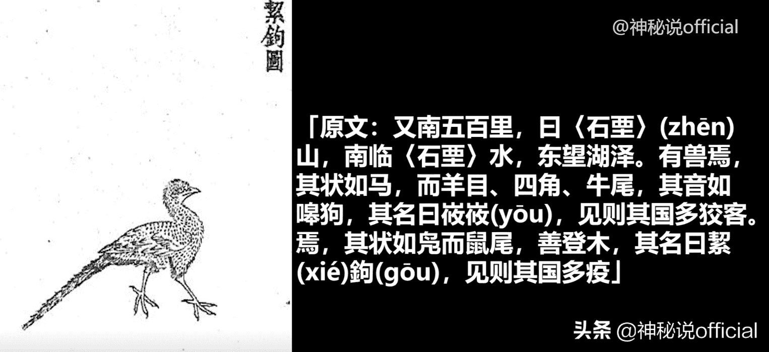 dnf瘟疫之源任务怎么完成-瘟疫之源任务攻略大全（《山海经》中暗藏“瘟疫”的治愈方法，揭开上古神话的灾难之源？）-第6张图片-拓城游