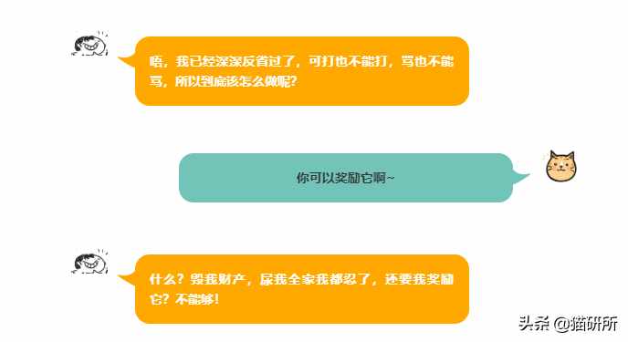 （猫咪又翻天覆地闹腾了，到底如何让它改正错误？）-第23张图片-拓城游