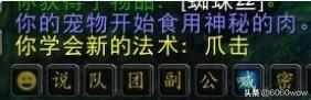 wow怀旧服猎人前期抓什么宝宝（《魔兽怀旧服6060魔兽》猎人宝宝基础知识指南，入坑猎人必知）-第11张图片-拓城游