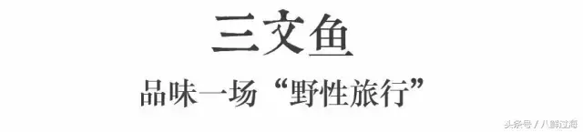 （加拿大BC省野生三文鱼：粉鲑、银鲑、王鲑等，滑嫩肥鲜回味无穷）